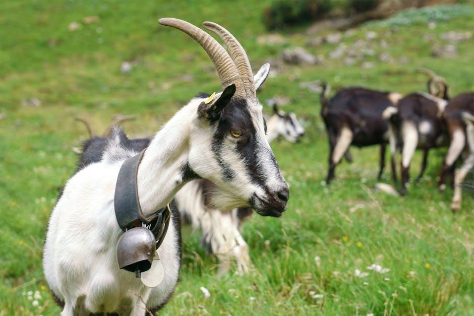the billy goats gruff pdf