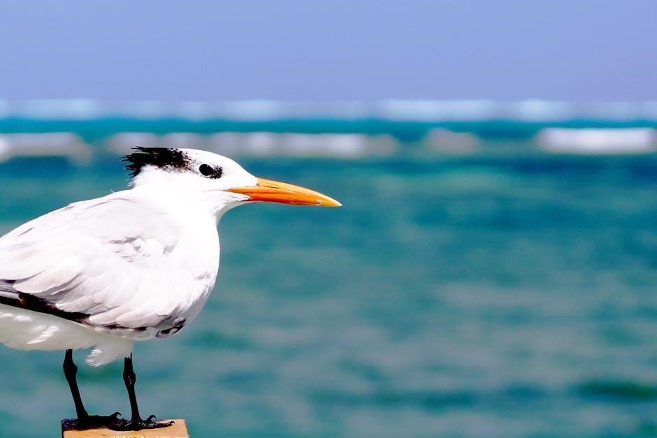 the little seagull handbook 4th edition pdf free download